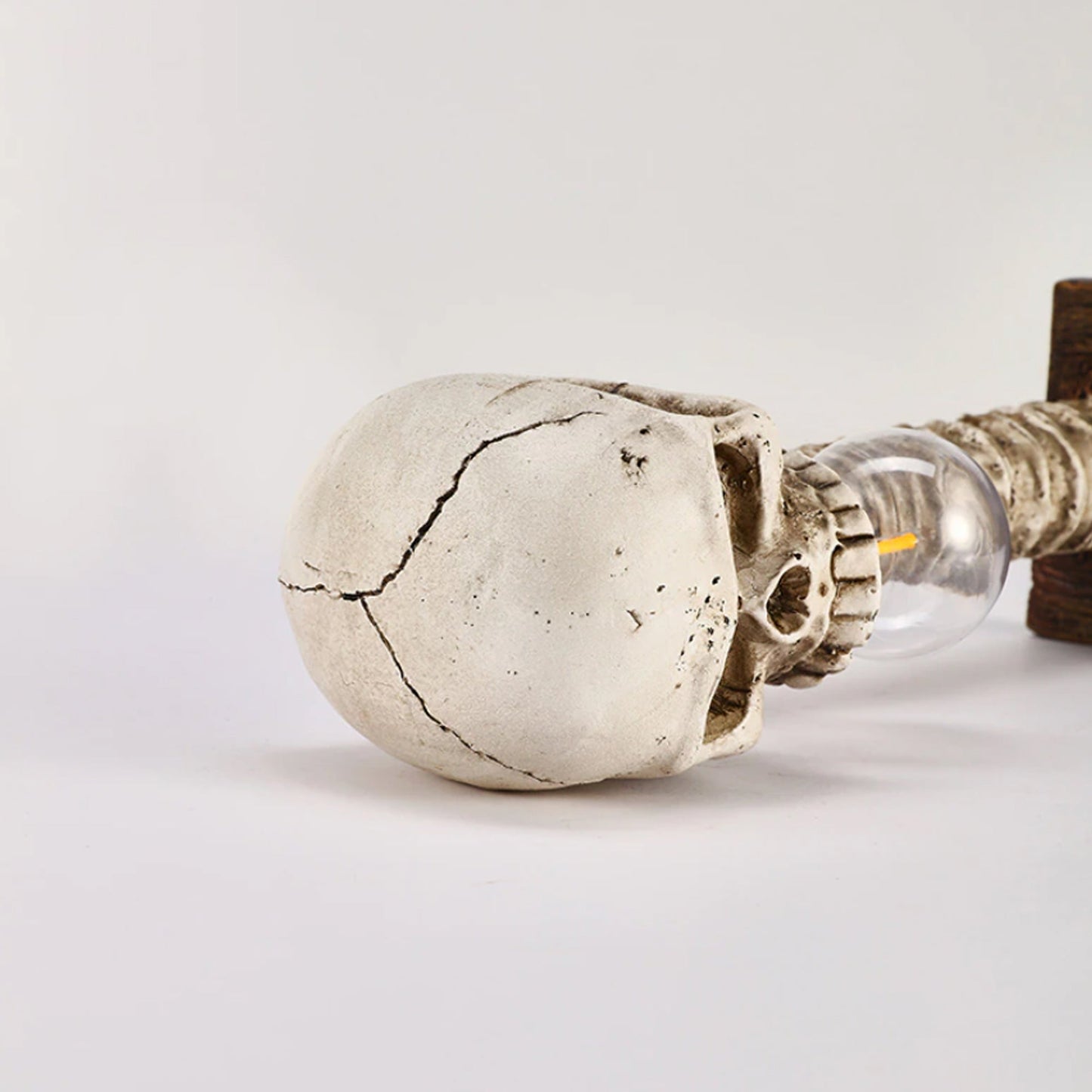 Skanto | Skeleton with Spine Lamp