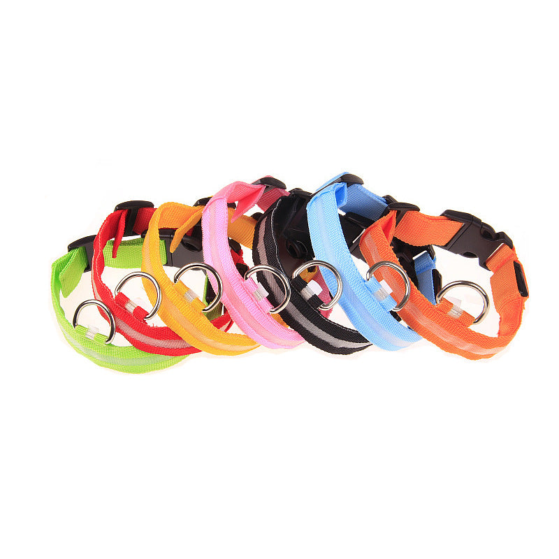 Skanto | LED Dog Collar – Keep an Eye on Your Pet!