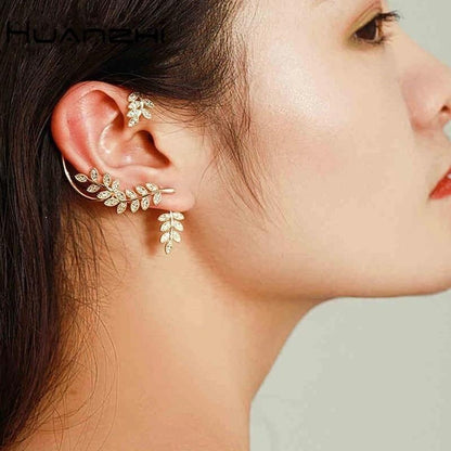 Sparkling zircon earrings
