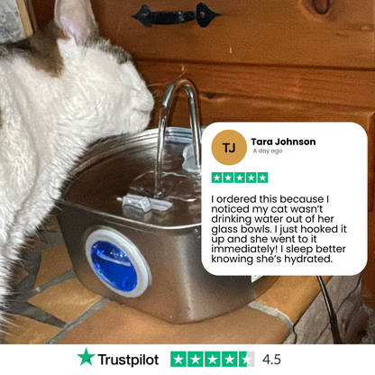 Skanto | Skanto Felindra Cat Water Fountain | Stainless Steel | Flowing Water for Better Hydration | Quiet & Hygienic | 2,5 L Capacity