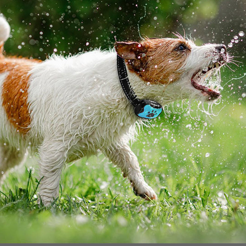 Rechargeable, waterproof dog trainer