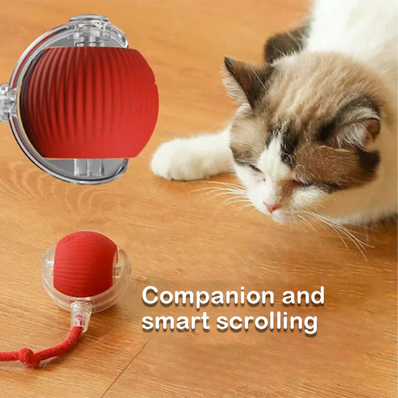 Skanto | Smart Rolling Pet Toy Ball