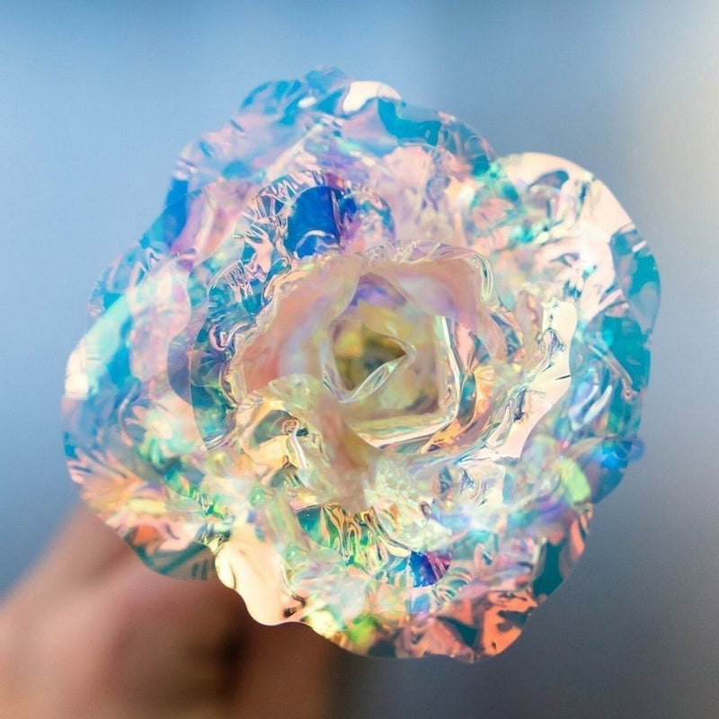 BowLift | Shiny Sleeping Rose Valentine's Day