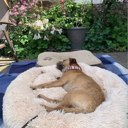 Skanto | Calming Dog Bed