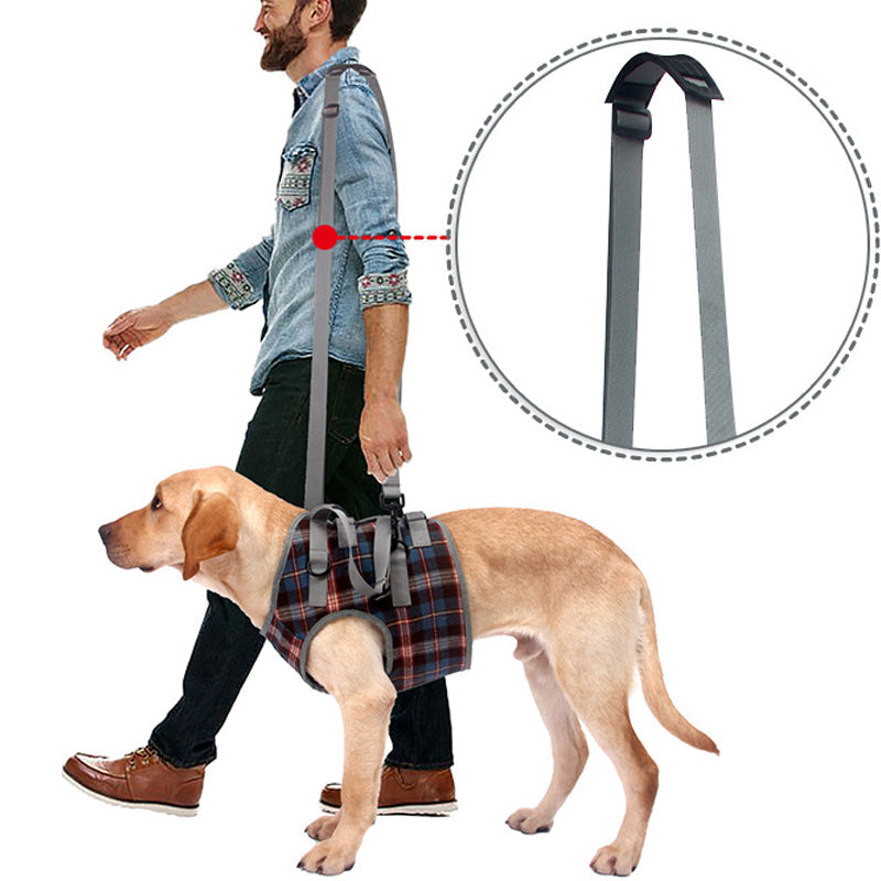 BowLift | Orthopedic Strap for Hind Legs