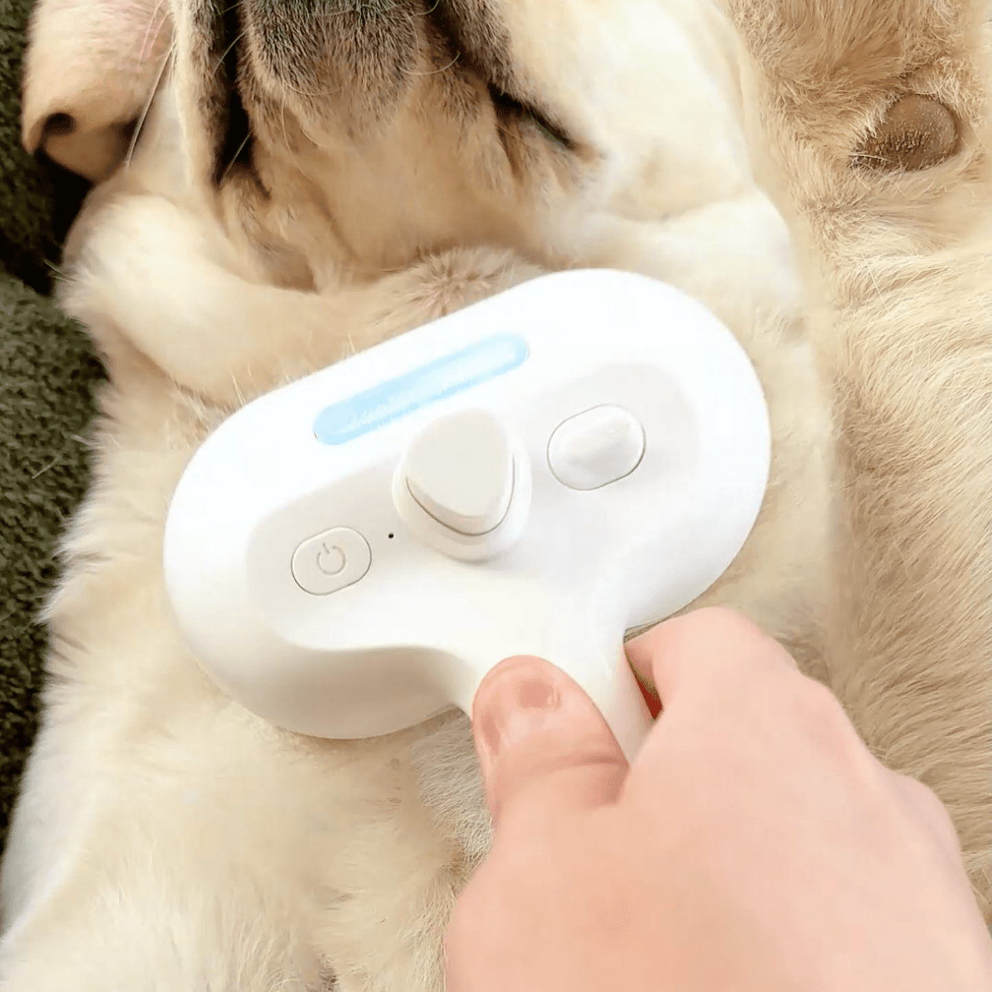 Skanto | DampfVacht Steam Brush – Gentle Care for Every Dog Coat