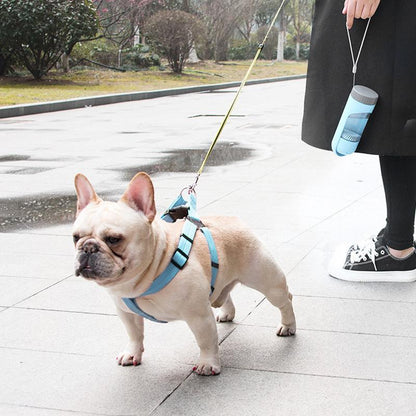 BowLift | Portable Puppy Water Dispenser