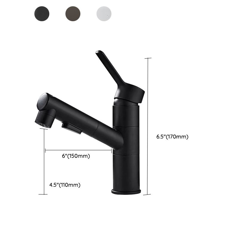 Kitchen Faucet with Swivel Spout, Single Handle Faucet with Pull-Down Sprayer