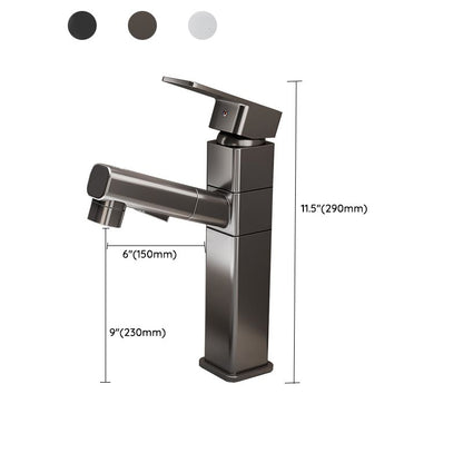 Kitchen Faucet with Swivel Spout, Single Handle Faucet with Pull-Down Sprayer