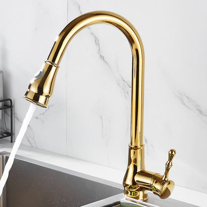 Skanto | Brushed Gold Kitchen Faucet High Arc Swivel Spout with Pull-Down Spray Head