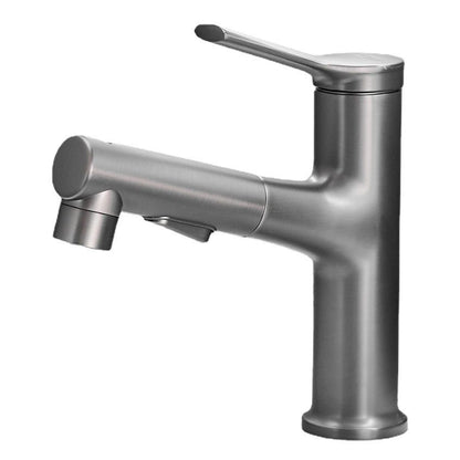 Modern sink faucet with pull-out spout and lever handle