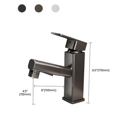 Kitchen Faucet with Swivel Spout, Single Handle Faucet with Pull-Down Sprayer