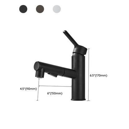 Kitchen Faucet with Swivel Spout, Single Handle Faucet with Pull-Down Sprayer