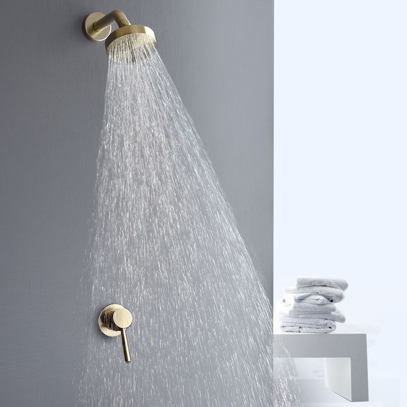 Stainless steel shower combination with round, fixed shower head and shower arm