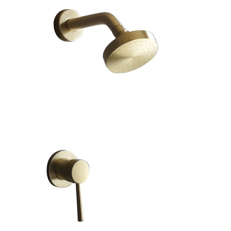 Stainless steel shower combination with round, fixed shower head and shower arm