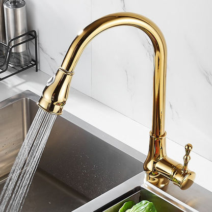 Brushed Gold Kitchen Faucet High Arc Spout with Pull-Down Sprayer