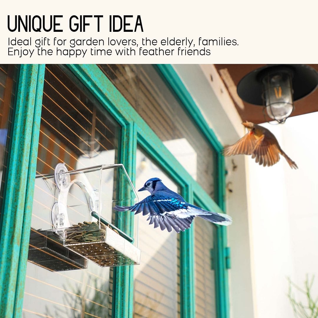 Skanto | Window Bird Feeder for Outdoor Use