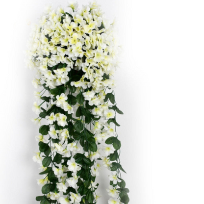 BowLift | PlantGlow – Natural elegance, permanently fresh [Last day discount]