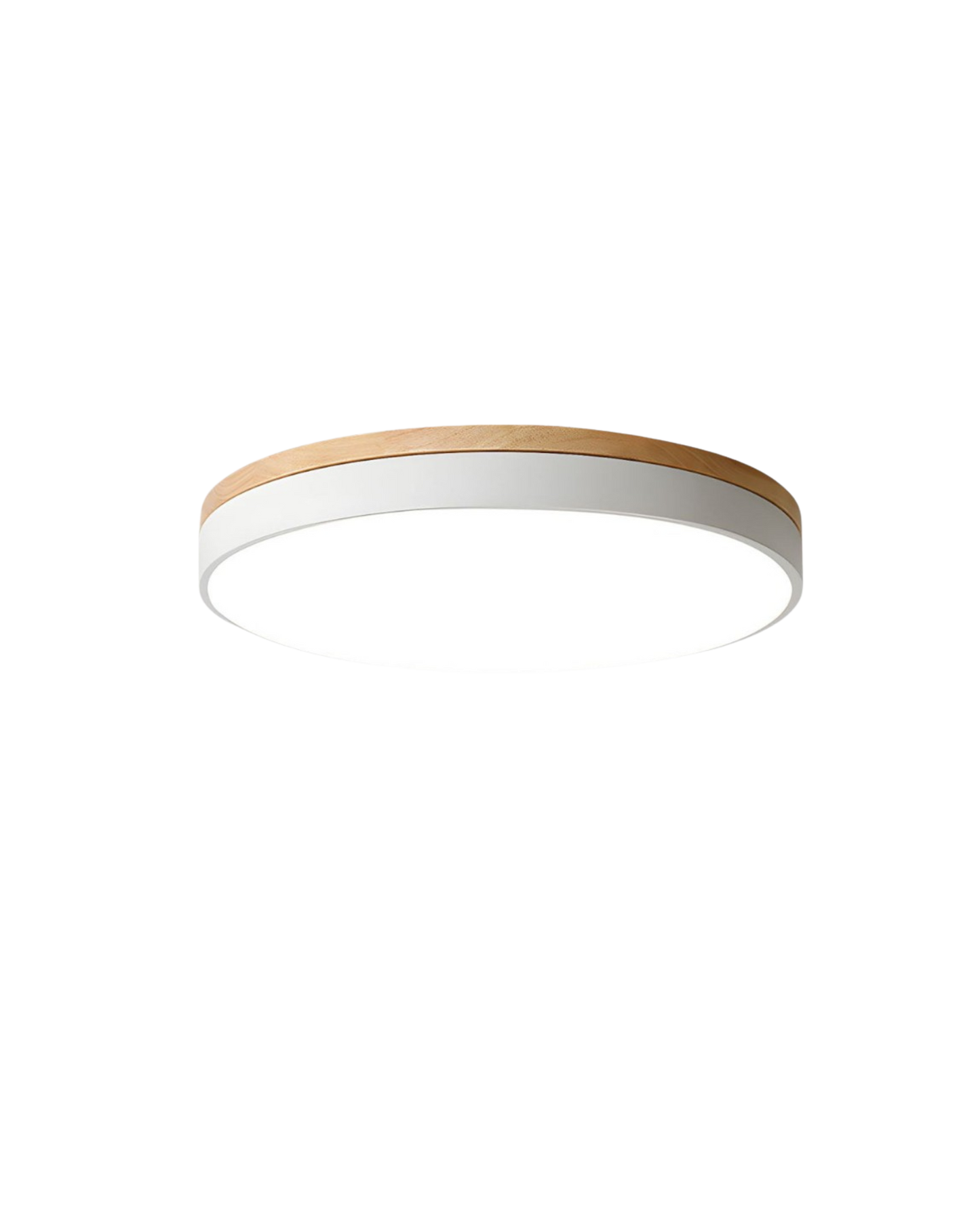 Skanto | Modern Pendant Light with Nature-Inspired Form