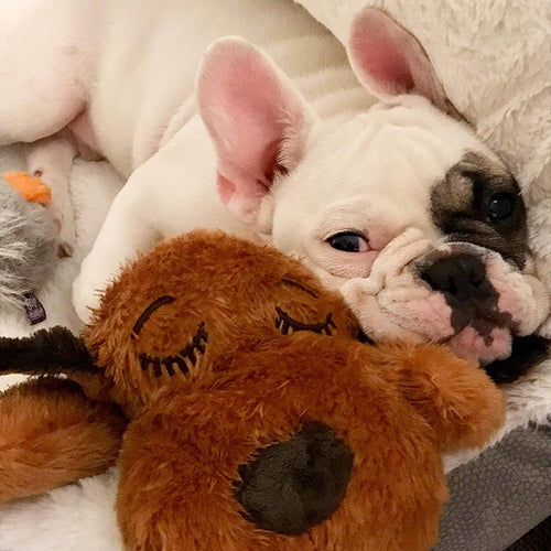 Skanto | Snuggle Puppy - Anxiety and Loneliness Reducing Stuffed Animal