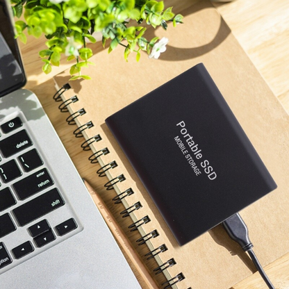 Frendorf | UltraVault | Lightning-fast & Reliable External SSD