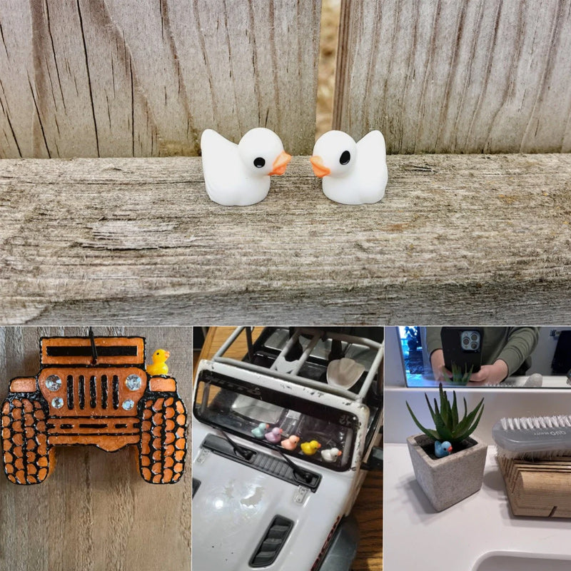 🦆Tiny Ducks | Challenge Hiding Ducks | Norvo
