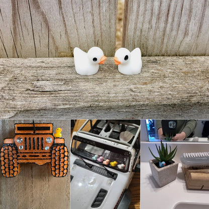 🦆Tiny Ducks | Challenge Hiding Ducks | Norvo