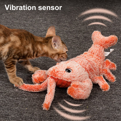 Skanto | Cat and Dog Toy