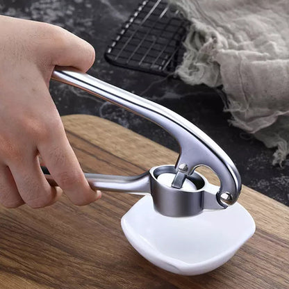 Stainless Steel Garlic Press | Karnz