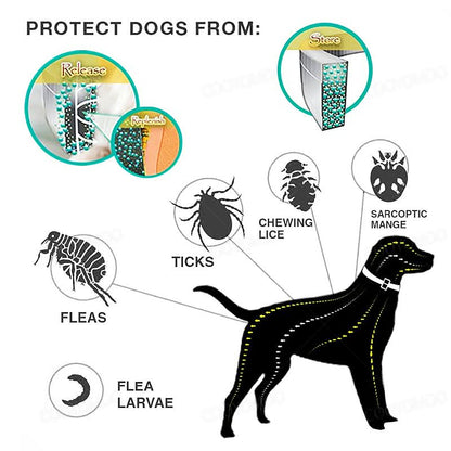 Skanto | PAWTECT - Anti-Tick and Flea Collar