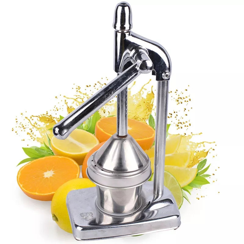 Stainless steel fruit juicer