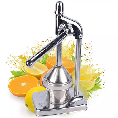 Stainless steel fruit juicer