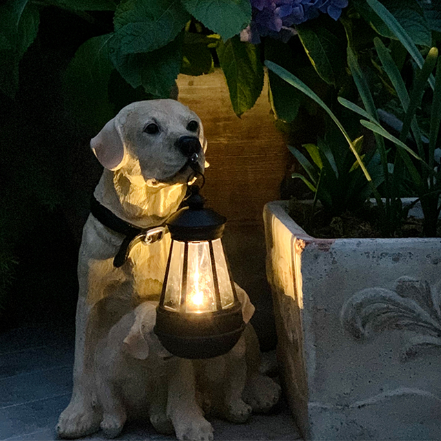 Playful Paws Solar Lamp Bowlift