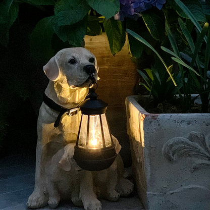 Playful Paws Solar Lamp Bowlift