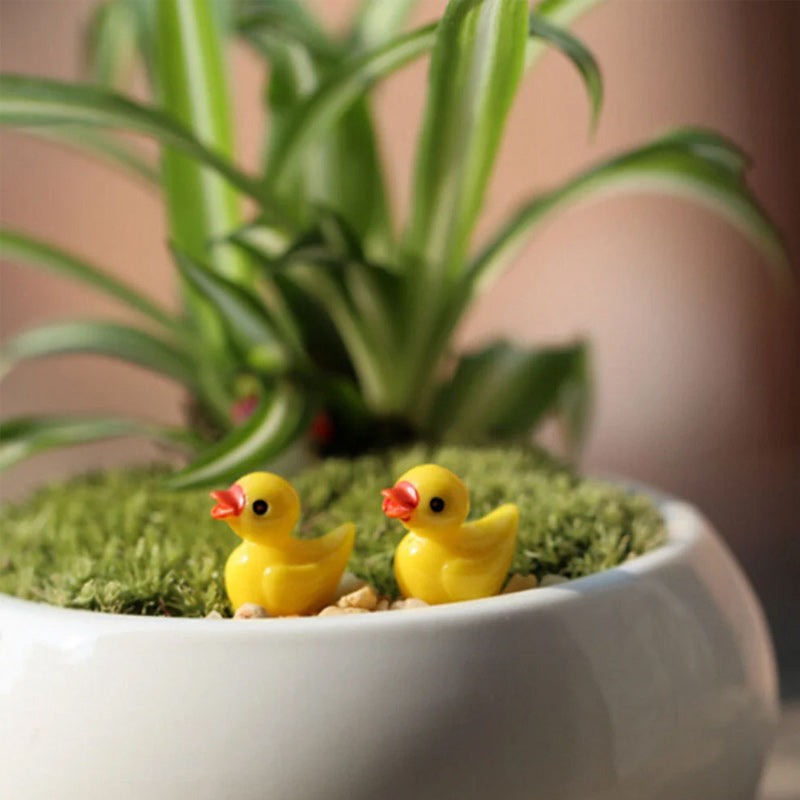 🦆Tiny Ducks | Challenge Hiding Ducks | Norvo