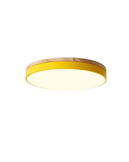 Skanto | Modern Pendant Light with Nature-Inspired Form