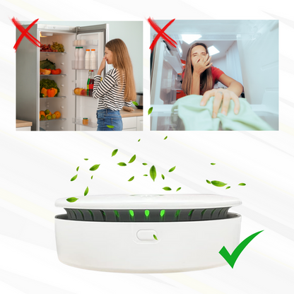 Skanto | FreshAir Ozone Odor Eliminator – Portable Air Purifier for Smoke, Pet Odors & Household Smells