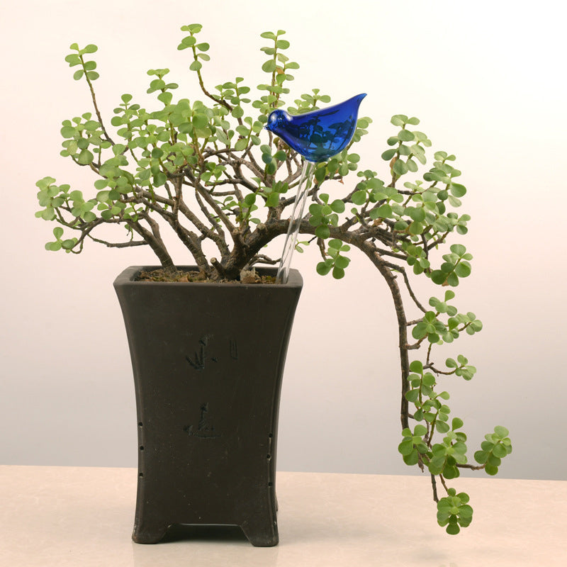 Self-watering glass birds