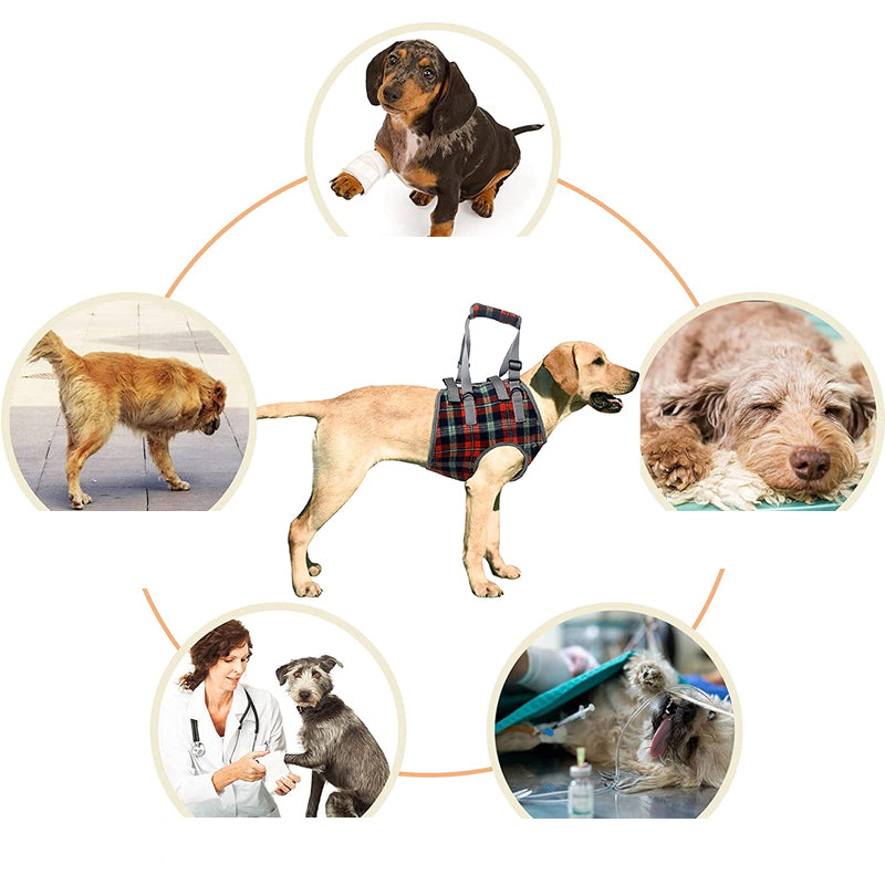 Orthopedic Rear Leg Harness