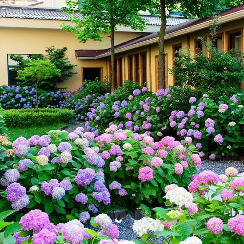 BowLift | Outdoor Artificial Hydrangea Flowers