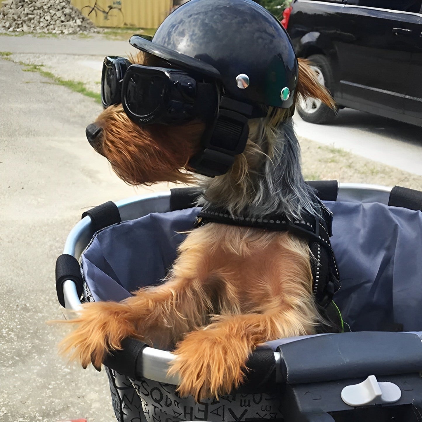 Skanto | Dog Motorcycle Helmet and Goggles – Trendy and Safe