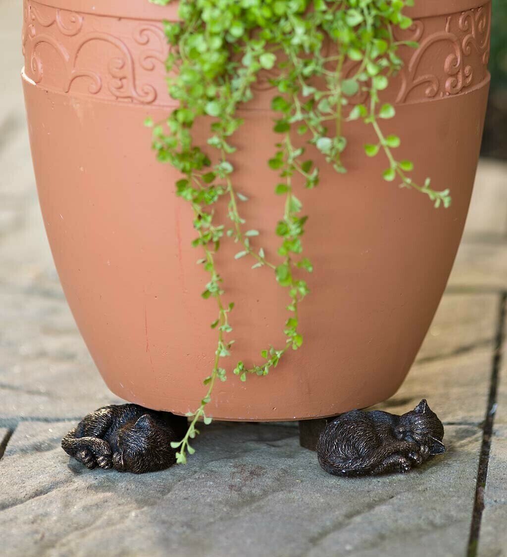 BowLift | Potty Feet Plant Pot Feet