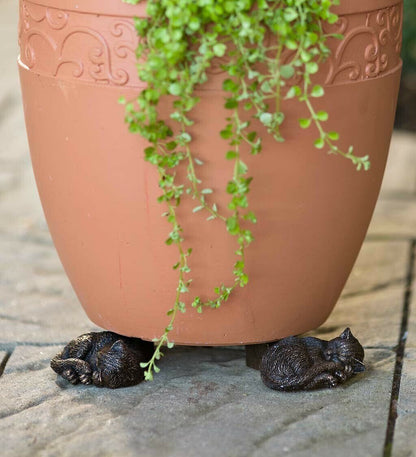BowLift | Potty Feet Plant Pot Feet