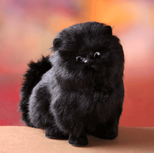 Skanto | Enchanting, electric, interactive plush kitten