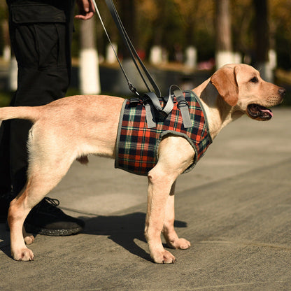 Skanto | Dog Lift Harness with Handle, Pet Recovery Sling