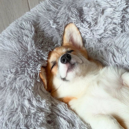Skanto | Calming Dog Bed