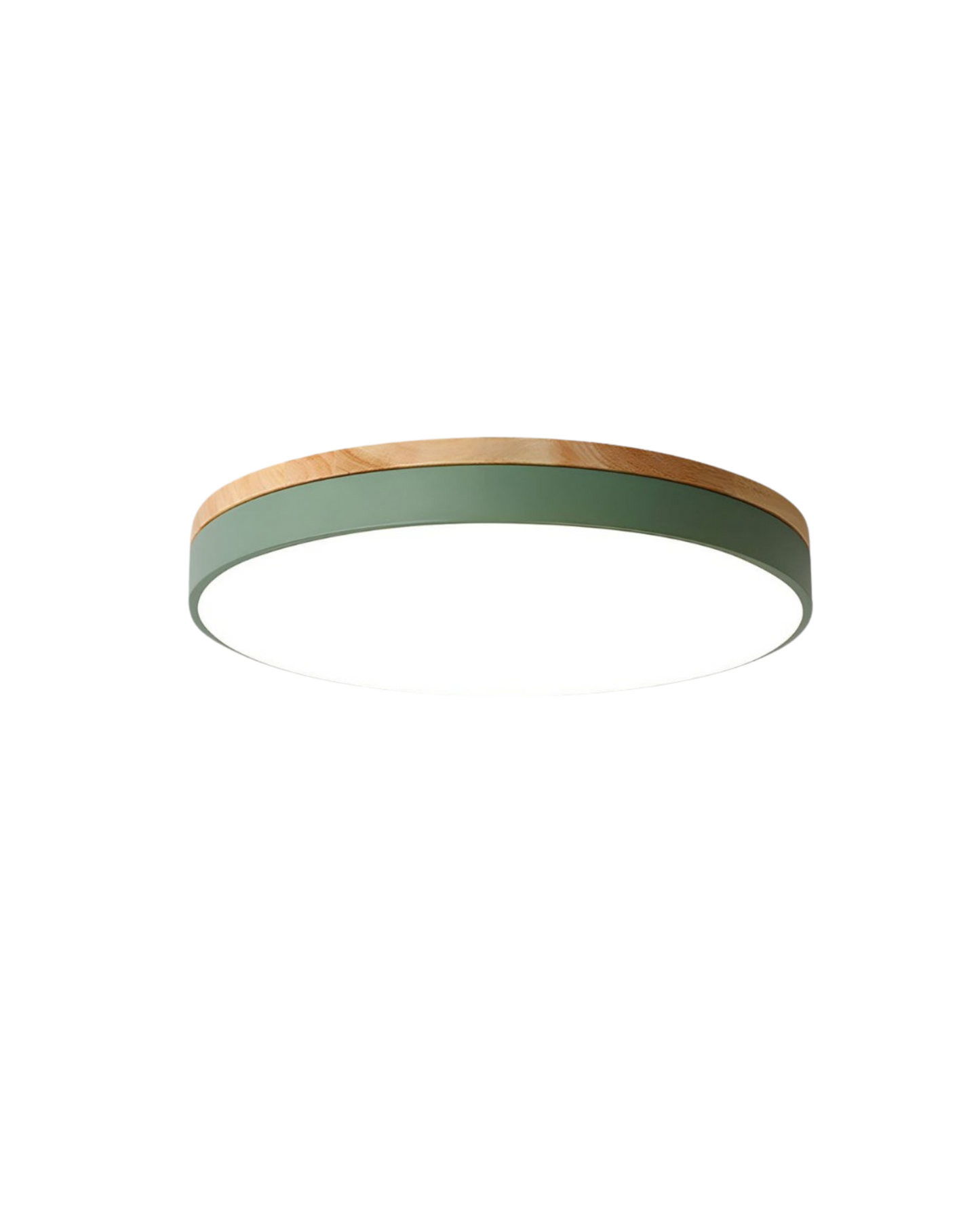 Skanto | Modern Pendant Light with Nature-Inspired Form