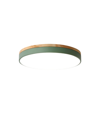 Skanto | Modern Pendant Light with Nature-Inspired Form