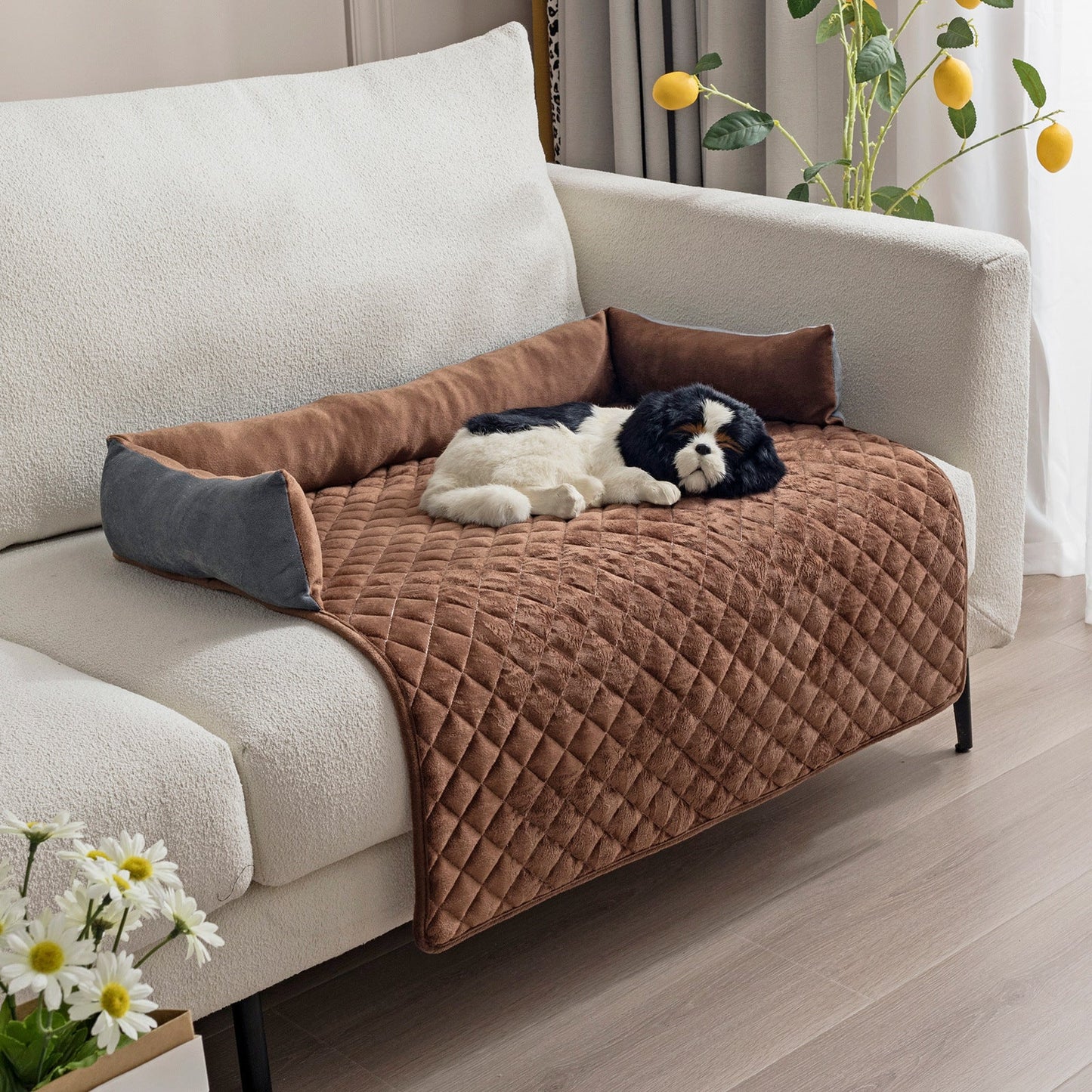 Skanto | Dog Sofa with Cushion.