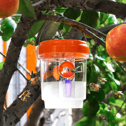 Solar-powered wasp trap with LED attraction | Karnz